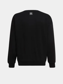 Худи и свитшоты Adidas Graphic Crew модель HC4558 Фото