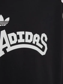 Худи и свитшоты Adidas Graphic Crew модель HC4558 Фото