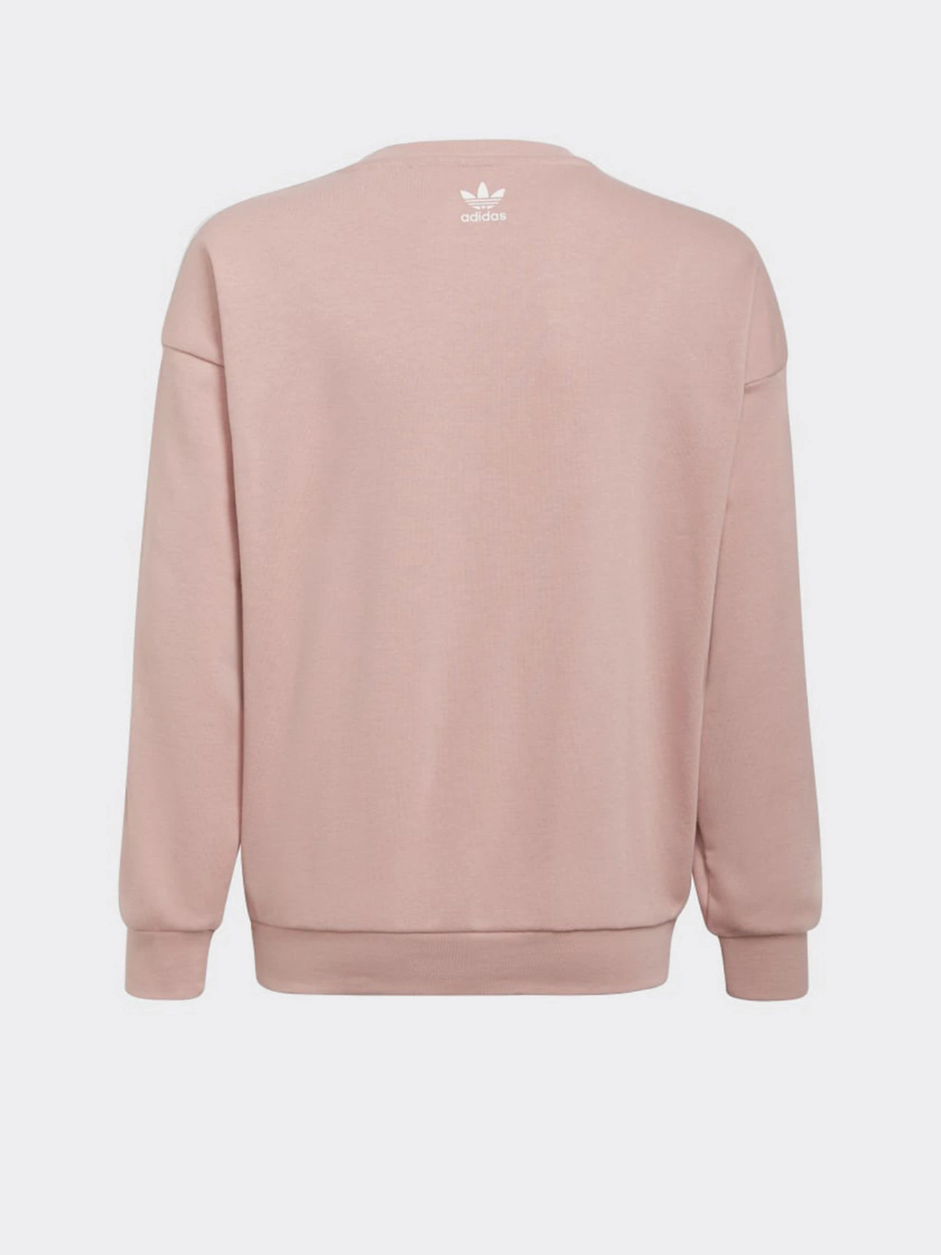 Худи и свитшоты Adidas Graphic Originals модель HC4559 Худи и свитшоты Adidas Graphic Originals модель HC4559 Фото