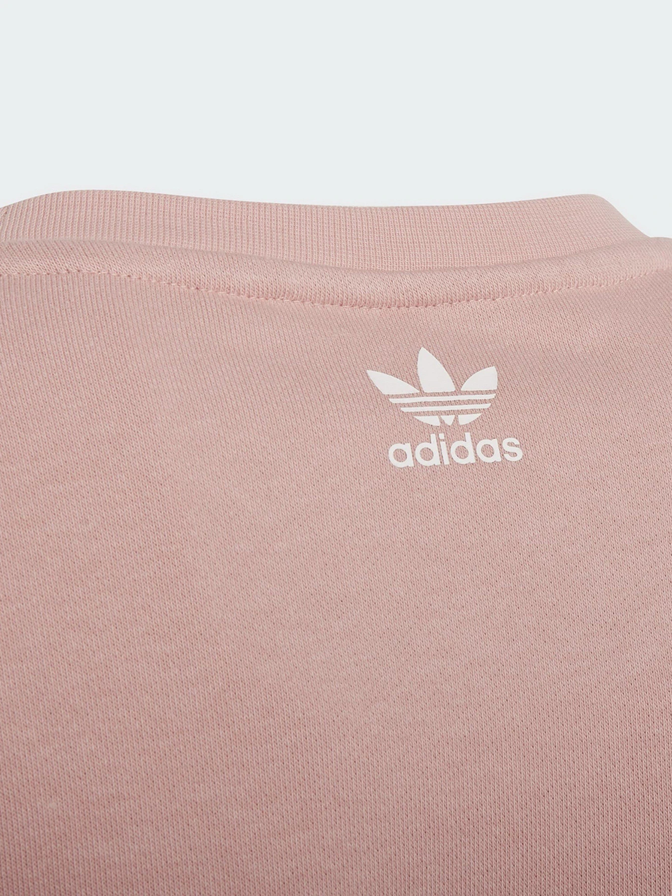 Худи и свитшоты Adidas Graphic Originals модель HC4559 Худи и свитшоты Adidas Graphic Originals модель HC4559 Фото