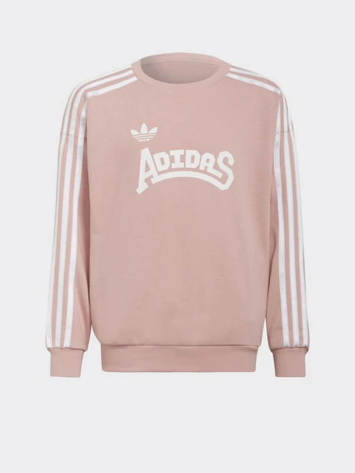 Худі та світшоти Adidas Graphic Originals модель HC4559 Фото