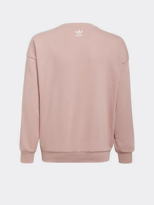 Худі та світшоти Adidas Graphic Originals модель HC4559 Фото