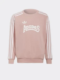 Худи и свитшоты Adidas Graphic Originals модель HC4559 Фото