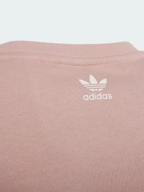 Худи и свитшоты Adidas Graphic Originals модель HC4559 Фото