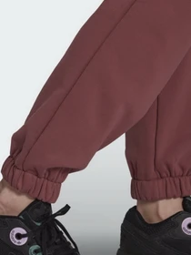 Брюки Adidas Adicolor модель HC7097 Фото