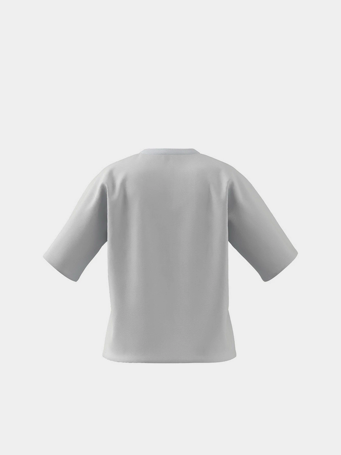 Футболки и поло Adidas Essentials Logo Boxy модель HC9183 Футболки и поло Adidas Essentials Logo Boxy модель HC9183 Фото
