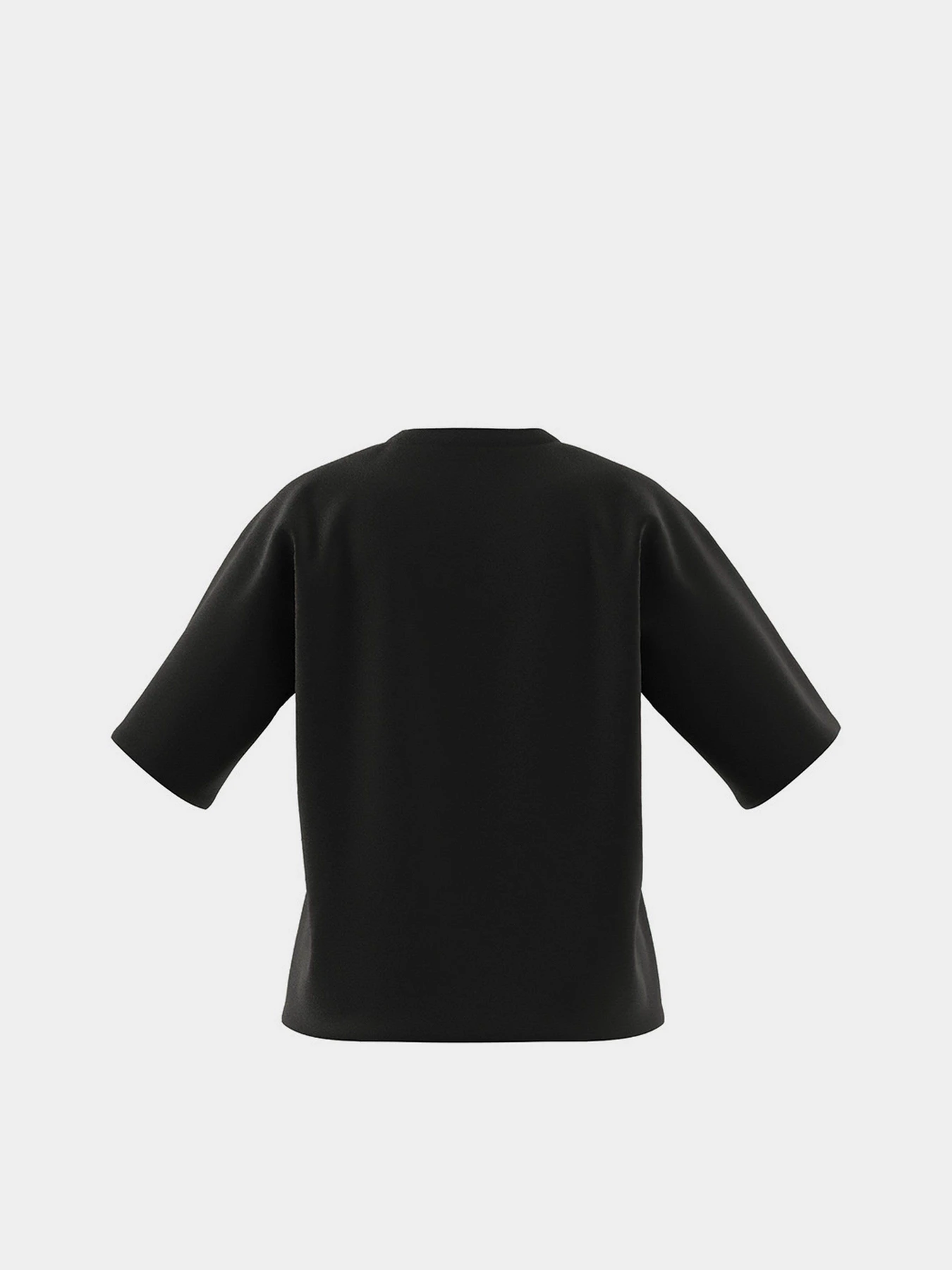 Футболки і поло Adidas Essentials Logo Boxy модель HC9189 Футболки і поло Adidas Essentials Logo Boxy модель HC9189 Фото