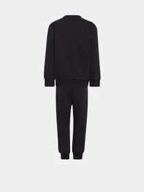 Костюмы Adidas Adicolor Crew модель HC9512 Фото
