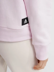 Худі та світшоти Adidas SPORTSWEAR FUTURE ICONS модель HD1301 Фото