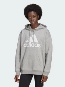 Худі та світшоти Adidas Essentials Logo Boyfriend Fleece модель HD1748 Фото