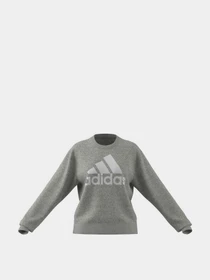 Худі та світшоти Adidas Essentials Logo Loose модель HD1753 Фото