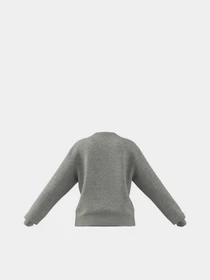 Худі та світшоти Adidas Essentials Logo Loose модель HD1753 Фото