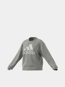 Худі та світшоти Adidas Essentials Logo Loose модель HD1753 Фото