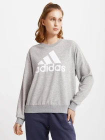 Худі та світшоти Adidas Essentials Logo Loose модель HD1753 Фото