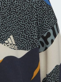 Худи и свитшоты Adidas Power Cotton модель HD1822 Фото