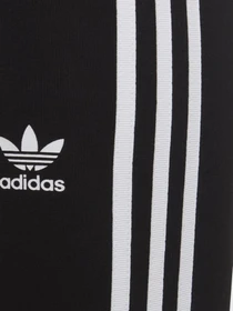Штани Adidas Adicolor модель HD2025 Фото