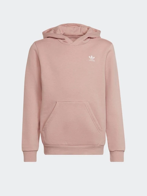 Худи и свитшоты Adidas Adicolor модель HD2052 Фото