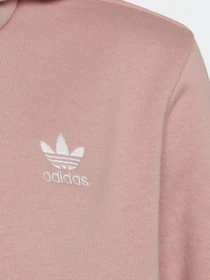 Худи и свитшоты Adidas Adicolor модель HD2052 Фото