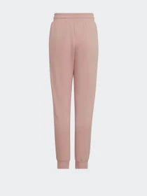 Брюки Adidas Adicolor модель HD2056 Фото