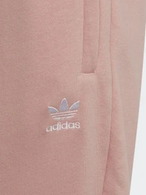 Брюки Adidas Adicolor модель HD2056 Фото