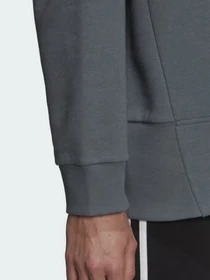 Худи и свитшоты Adidas Essentials Studio Fleece модель HD6750 Фото