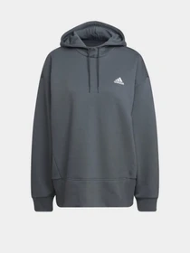 Худи и свитшоты Adidas Essentials Studio Fleece модель HD6750 Фото