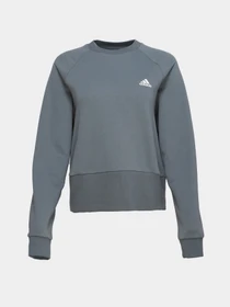 Худі та світшоти Adidas Essentials Studio модель HD6754 Фото