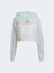 Худі та світшоти Adidas Essentials Colorblock 3-Stripes модель HD6774 Фото