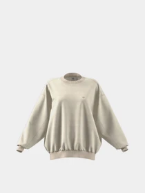 Худі та світшоти Adidas Adicolor Oversize No-Dye модель HE0377 Фото