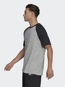 Футболки и поло Adidas Essentials Mélange Raglan модель HE1796 Фото