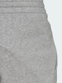 Брюки Adidas Essentials 4 GAMEDAY модель HE1809 Фото