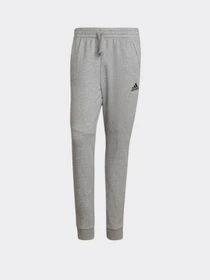 Брюки Adidas Essentials 4 GAMEDAY модель HE1809 Фото