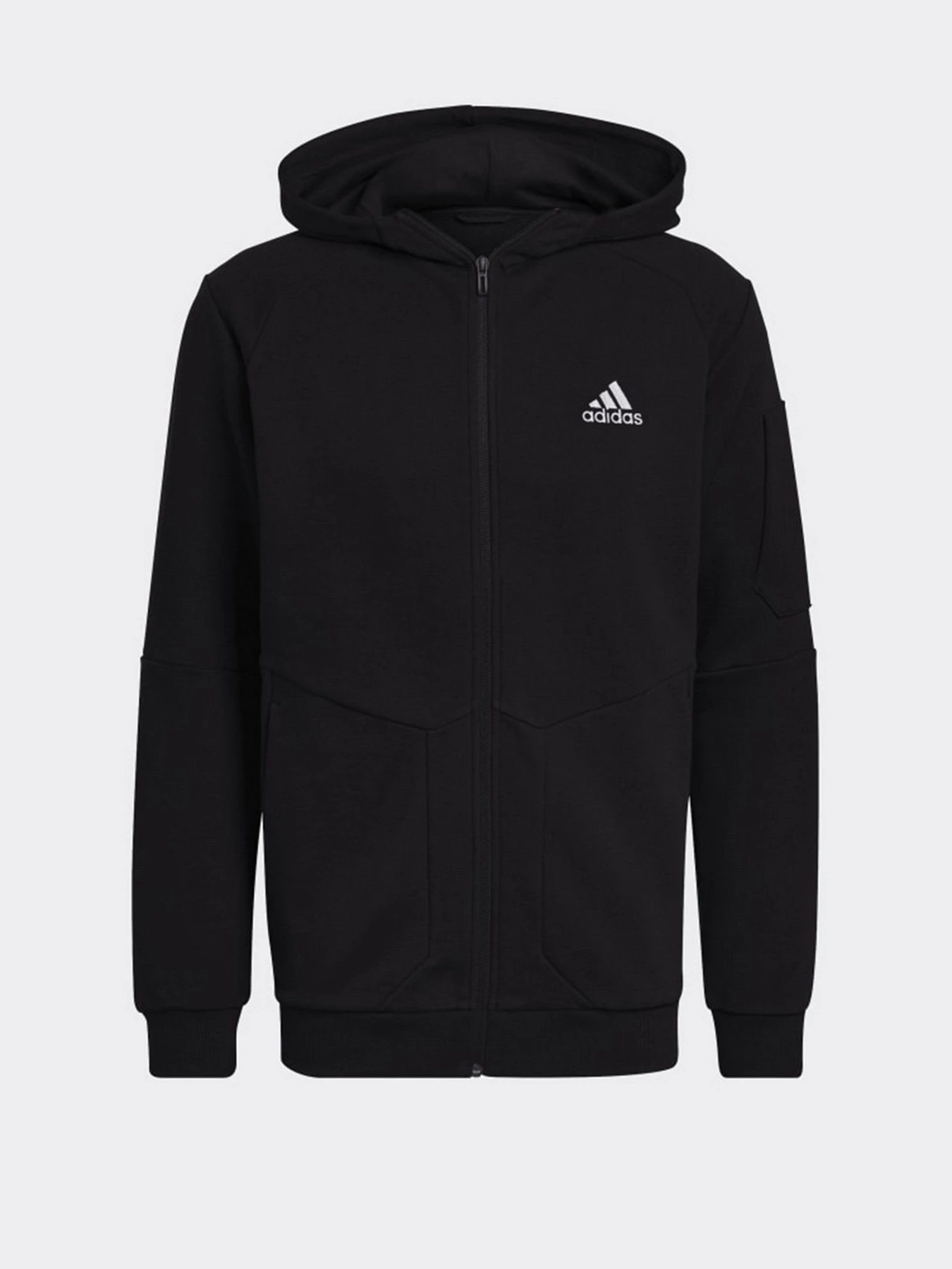 Худи и свитшоты Adidas Essentials 4 GAMEDAY Full-Zip модель HE1811 Фото