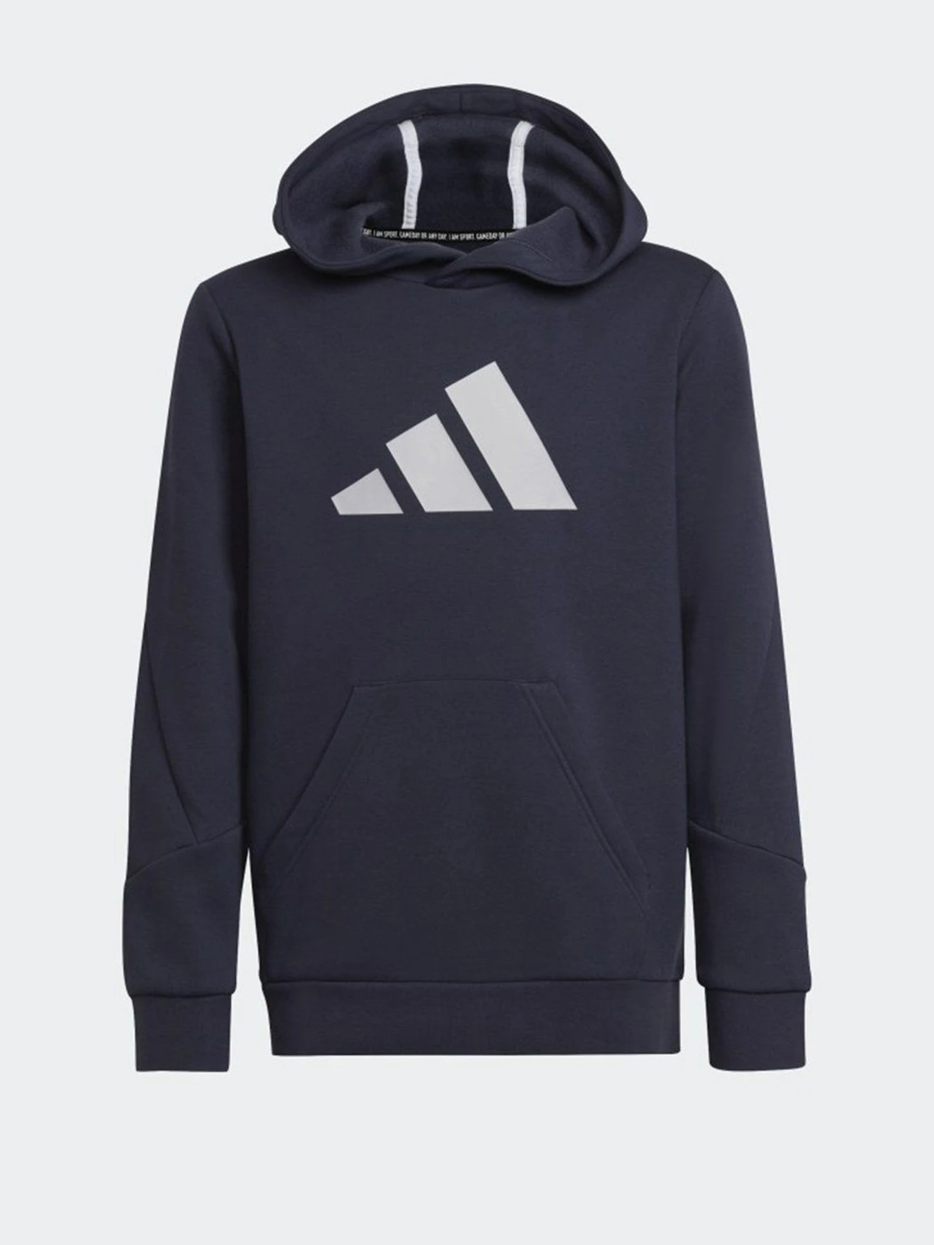 Худи и свитшоты Adidas Future Icons 3-Stripes модель HE1922 Худи и свитшоты Adidas Future Icons 3-Stripes модель HE1922 Фото