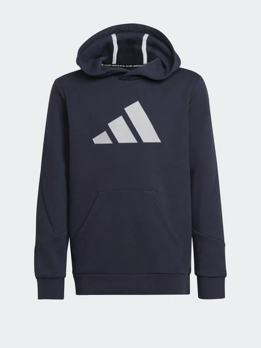 Худи и свитшоты Adidas Future Icons 3-Stripes модель HE1922 Фото