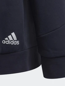 Худи и свитшоты Adidas Future Icons 3-Stripes модель HE1922 Фото