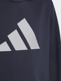 Худи и свитшоты Adidas Future Icons 3-Stripes модель HE1922 Фото
