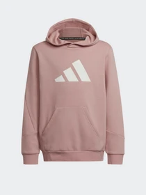 Худи и свитшоты Adidas Future Icons 3-Stripes модель HE1923 Фото