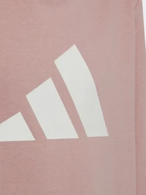 Худи и свитшоты Adidas Future Icons 3-Stripes модель HE1923 Фото