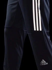 Брюки Adidas Run Icon Performance модель HE2471 Фото