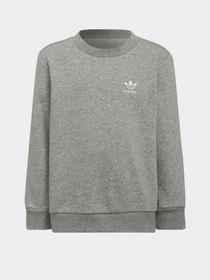 Костюмы Adidas Adicolor Crew модель HE6910 Фото