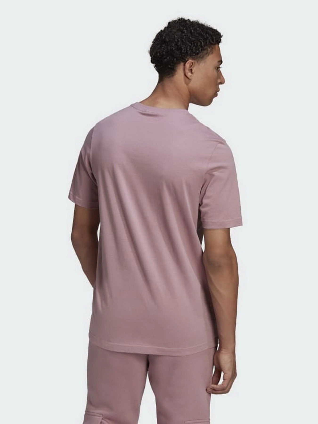 Футболки и поло Adidas Adicolor Essentials Trefoil модель HE9444 Футболки и поло Adidas Adicolor Essentials Trefoil модель HE9444 Фото