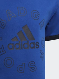Костюмы Adidas Essentials Logo Set модель HF1896 Фото