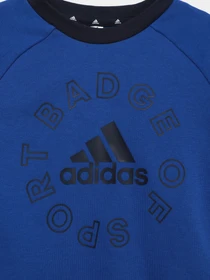 Костюми Adidas Lk Logo Jog Set Performance модель HF1899 Фото