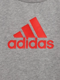 Костюмы Adidas Badge of Sport Performance модель HF1958 Фото