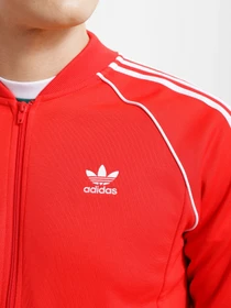 Худи и свитшоты Adidas Adicolor Classics Primeblue Sst модель HF2124 Фото