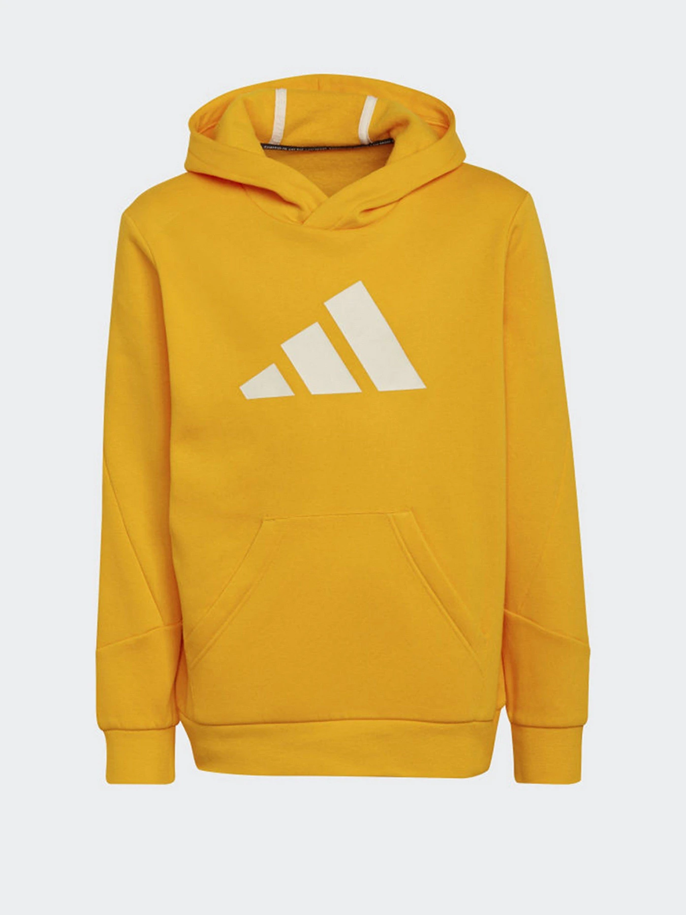 Худи и свитшоты Adidas Future Icons 3-Stripes модель HF2181 Худи и свитшоты Adidas Future Icons 3-Stripes модель HF2181 Фото