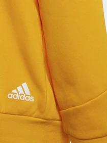 Худи и свитшоты Adidas Future Icons 3-Stripes модель HF2181 Фото