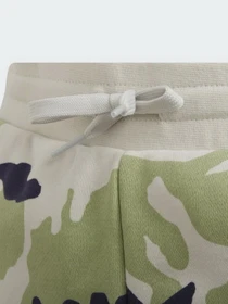 Шорти Adidas Camo Originals модель HF7450 Фото