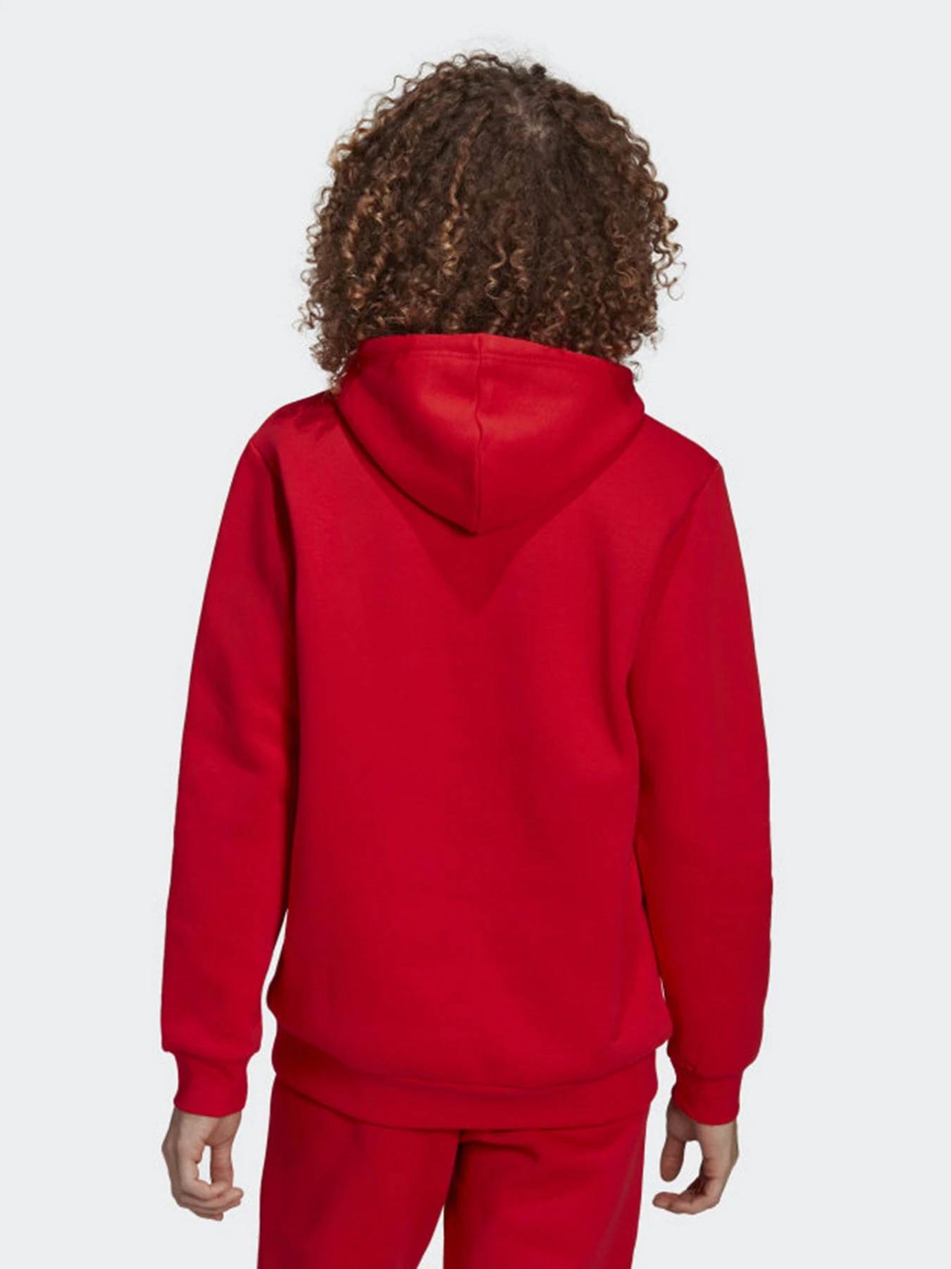 Худи и свитшоты Adidas Orginals Adicolor Essentials Trefoil модель HG3900 Худи и свитшоты Adidas Orginals Adicolor Essentials Trefoil модель HG3900 Фото